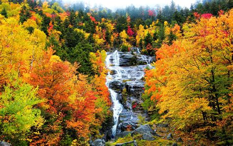 background stock photos|free background scenery pictures.